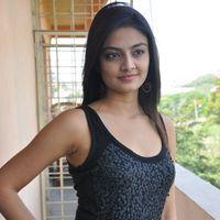 Nikitha Narayan Latest Stills | Picture 119968